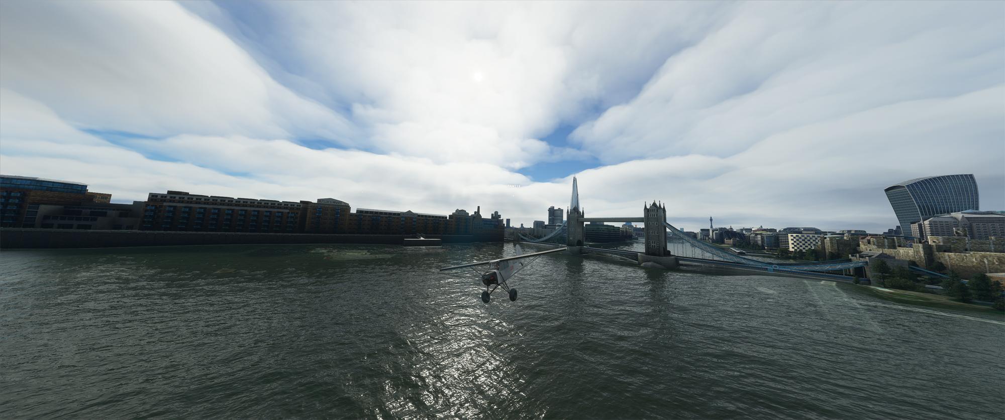 Microsoft Flight Simulator 18_08_2020 15_36_20.jpg