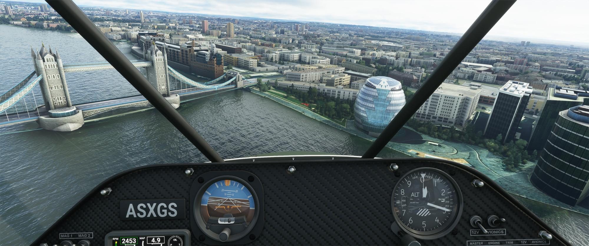 Microsoft Flight Simulator 18_08_2020 15_36_04.jpg